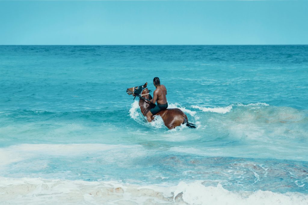 Horse Back Riding in Bahia, Brazil